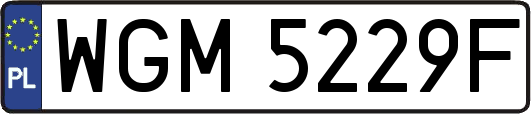 WGM5229F