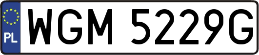 WGM5229G