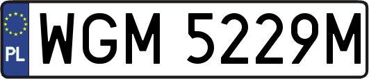 WGM5229M