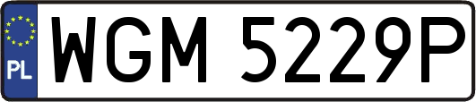 WGM5229P