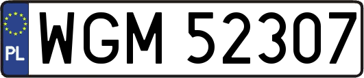 WGM52307