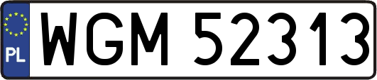 WGM52313