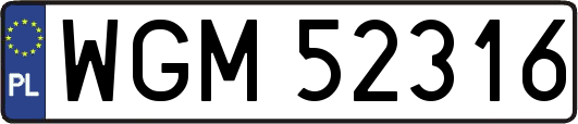 WGM52316