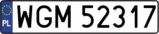 WGM52317