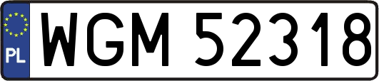 WGM52318