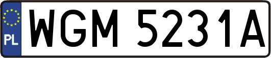 WGM5231A