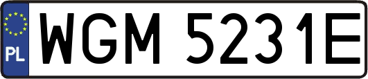 WGM5231E