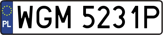 WGM5231P