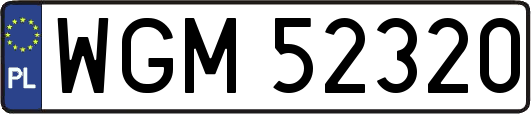 WGM52320