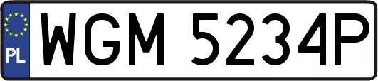 WGM5234P