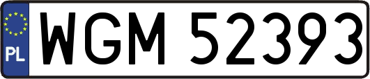 WGM52393