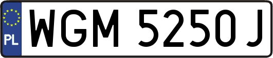 WGM5250J