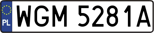 WGM5281A