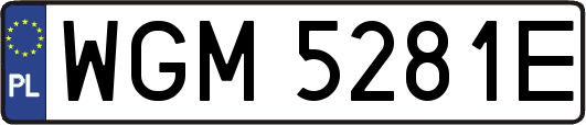 WGM5281E