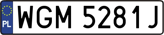 WGM5281J
