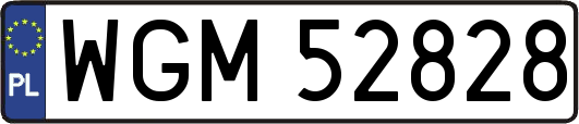 WGM52828
