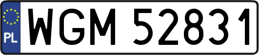 WGM52831