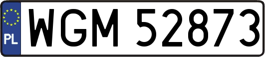 WGM52873