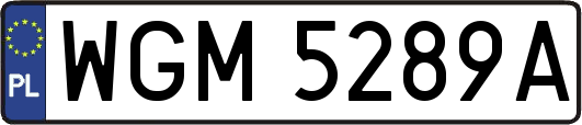WGM5289A