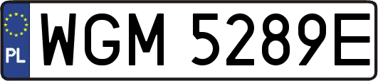 WGM5289E