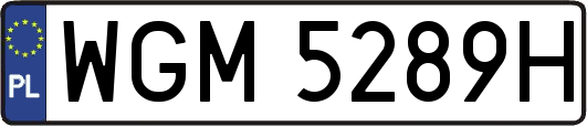 WGM5289H