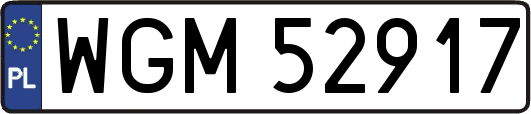 WGM52917