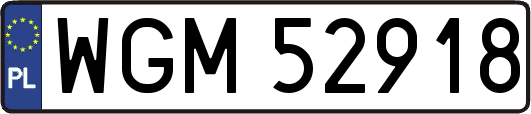 WGM52918