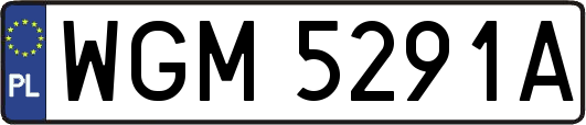 WGM5291A