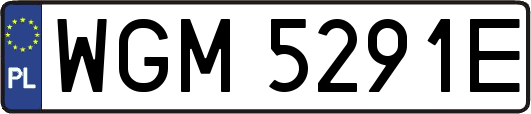 WGM5291E