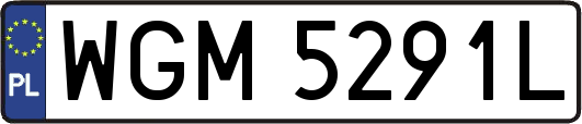 WGM5291L