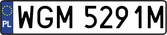 WGM5291M
