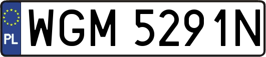 WGM5291N