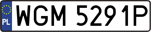 WGM5291P