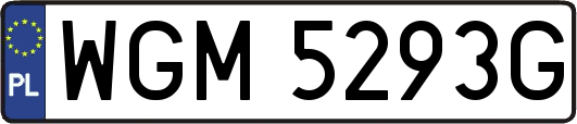 WGM5293G