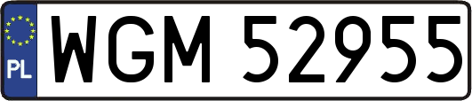 WGM52955