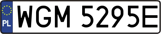 WGM5295E