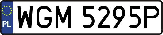 WGM5295P