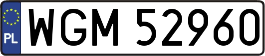 WGM52960