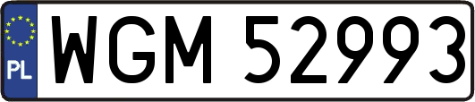 WGM52993