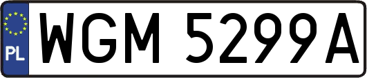 WGM5299A