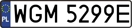 WGM5299E