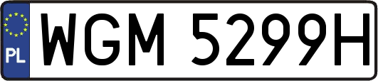 WGM5299H