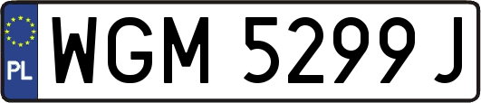 WGM5299J