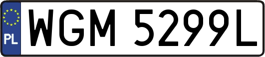 WGM5299L