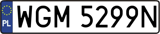 WGM5299N