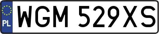 WGM529XS