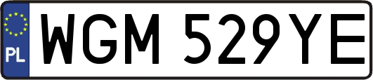 WGM529YE