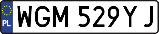 WGM529YJ