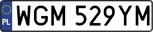 WGM529YM