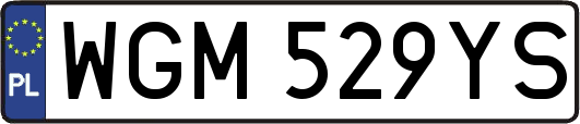 WGM529YS
